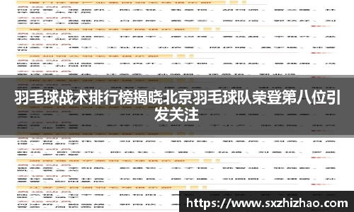 羽毛球战术排行榜揭晓北京羽毛球队荣登第八位引发关注